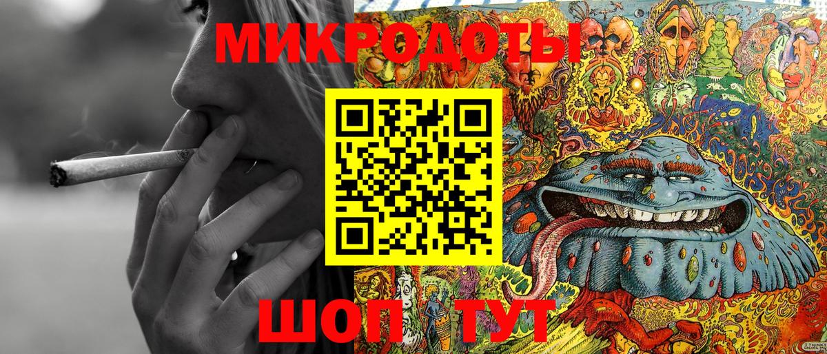 Галлюциногенные грибы Psilocybe Каспийск
