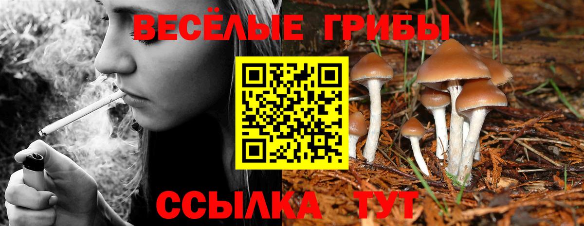 Псилоцибиновые грибы GOLDEN TEACHER  Вход с VPN  Галлюциногенные грибы MAGIC MUSHROOMS  Каспийск 